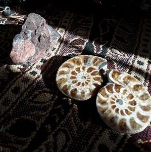 NFS, crystal trade 💖